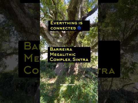Everything is connected: A hidden gem at a magical megalithic site in Portugal. 🌀